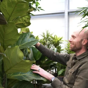 Logistiek: Planten per post